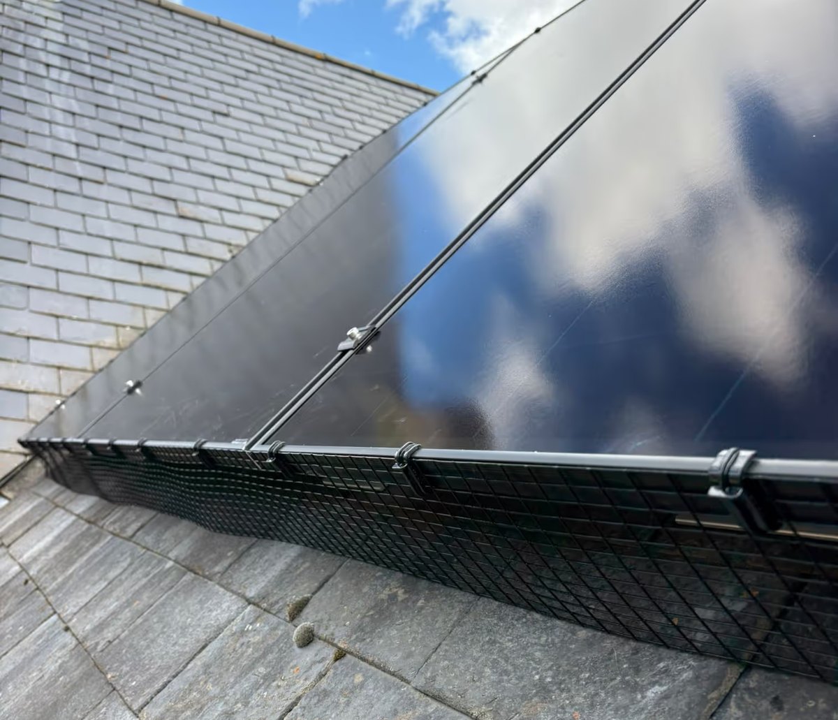 Pigeon Proofing